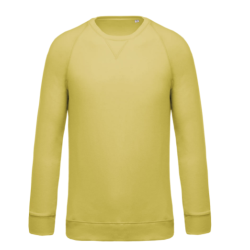 Sweat-shirt Bio col rond manches raglan homme