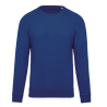 Sweat-shirt Bio col rond manches raglan homme