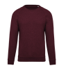 Sweat-shirt Bio col rond manches raglan homme