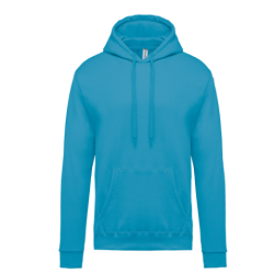Sweat-shirt capuche homme