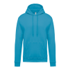 Sweat-shirt capuche homme