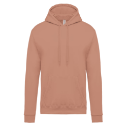 Sweat-shirt capuche homme