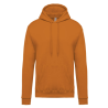 Sweat-shirt capuche homme