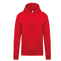 Sweat-shirt capuche homme