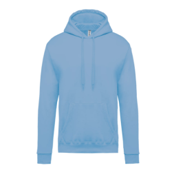 Sweat-shirt capuche homme