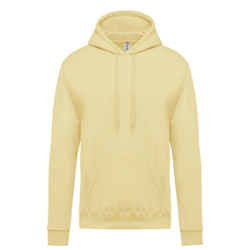 Sweat-shirt capuche homme