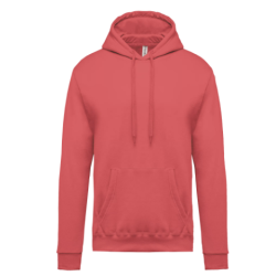 Sweat-shirt capuche homme
