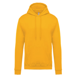 Sweat-shirt capuche homme