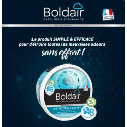 Destructeur d'odeurs grand large - 300g - BOLDAIR