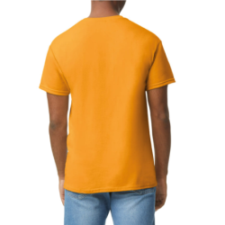 T-shirt homme Heavy Cotton