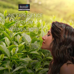 Grands espaces thé vert - 750ml – BOLDAIR