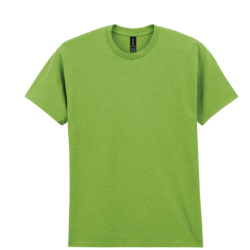 T-shirt homme Heavy Cotton