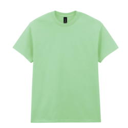T-shirt homme Heavy Cotton