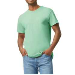 T-shirt homme Heavy Cotton