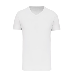 T-shirt Bio150 IC col V homme