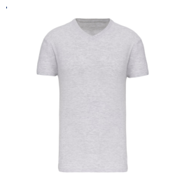 T-shirt Bio150 IC col V homme