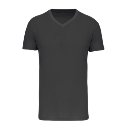 T-shirt Bio150 IC col V homme