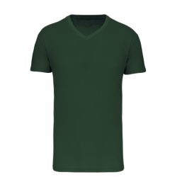 T-shirt Bio150 IC col V homme
