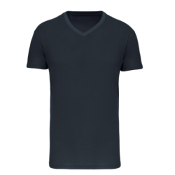 T-shirt Bio150 IC col V homme