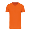 T-shirt Bio150 IC col V homme
