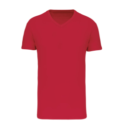 T-shirt Bio150 IC col V homme