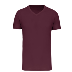 T-shirt Bio150 IC col V homme