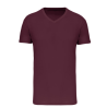T-shirt Bio150 IC col V homme