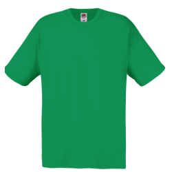 T-shirt Homme Original-T (61-082-0)