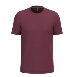 T-shirt unis col rond manches courtes homme
