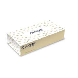 Mouchoirs boîte et mouchoirs étuis EcoNatural 100 V