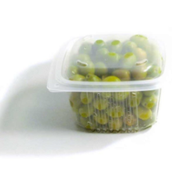 Barquette plastique avec couvercle 375 ml