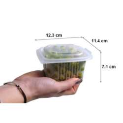 Barquette plastique avec couvercle 375 ml