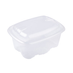 Barquette ARCHIPACK plastique transparente micro-ondable 500 ml