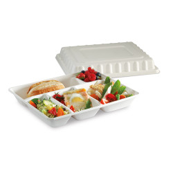 Plateau repas bagasse - 5 compartiments