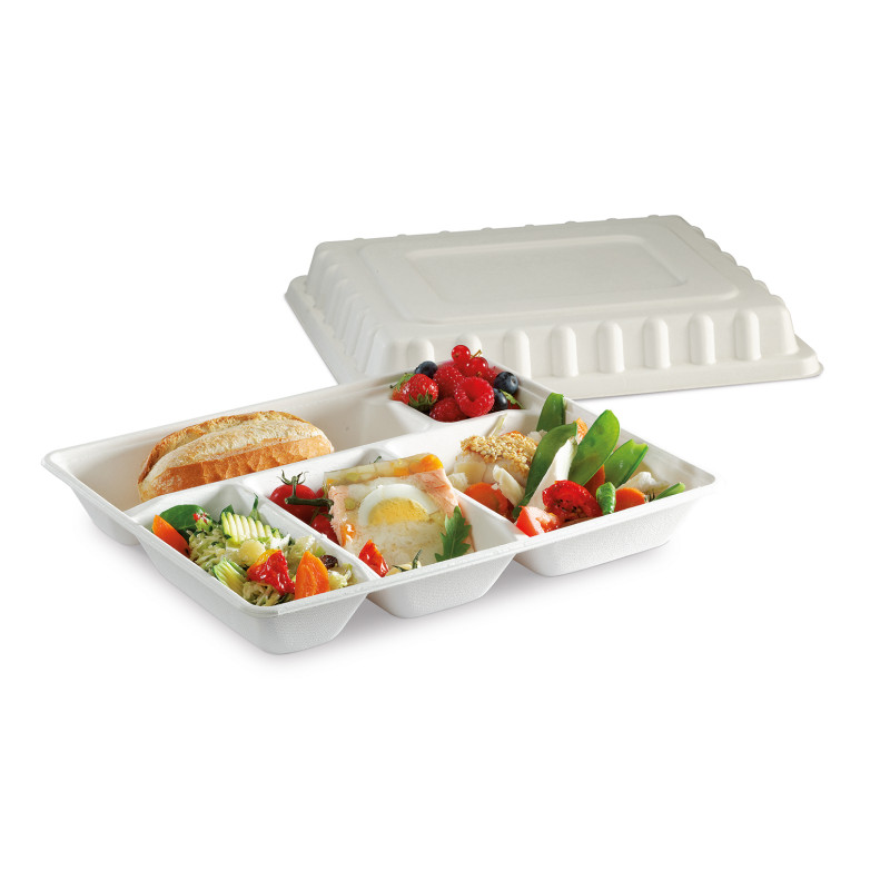 Plateau repas bagasse - 5 compartiments