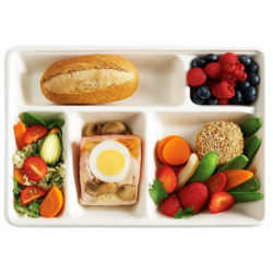 Plateau repas bagasse - 5 compartiments