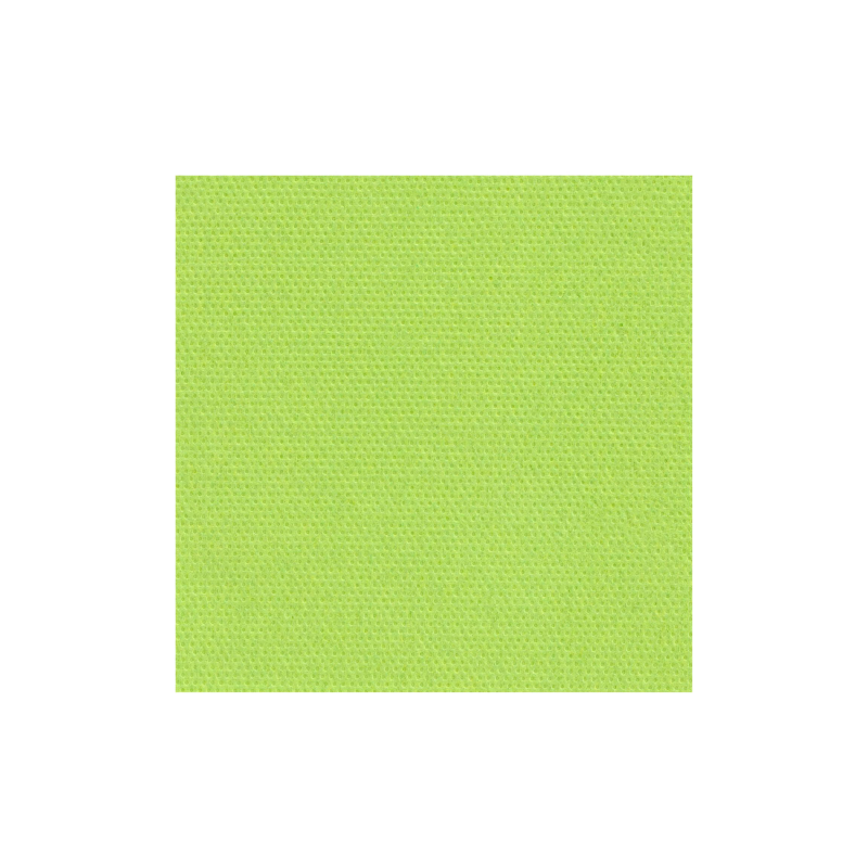 Serviettes Céli-ouate - Pistache