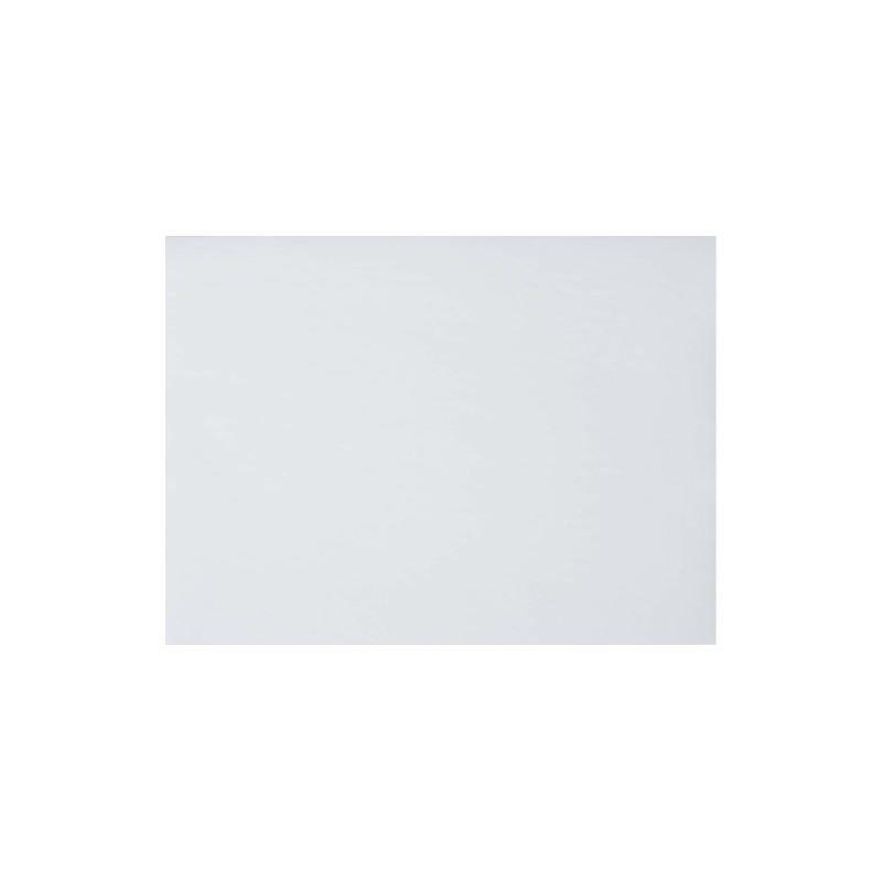 Set de table papier Skin 30X40