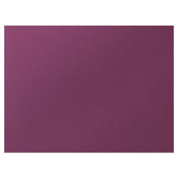 Set de table Célisoft 30X40 - Figue