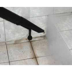 Nettoyeur vapeur sèche NUSTEAM PRO 6