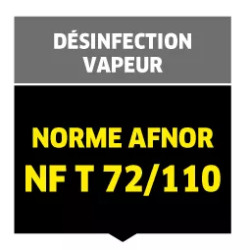 Nettoyeur Vapeur SGV 4/4