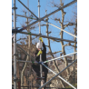 Travaux milieu huileux et graisseux APOLLONIT VV734