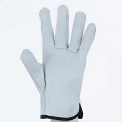 Gants de protection manutention - Travaux milieu sec - FBN49