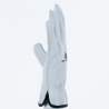 Gants de protection manutention - Travaux milieu sec - FBN49
